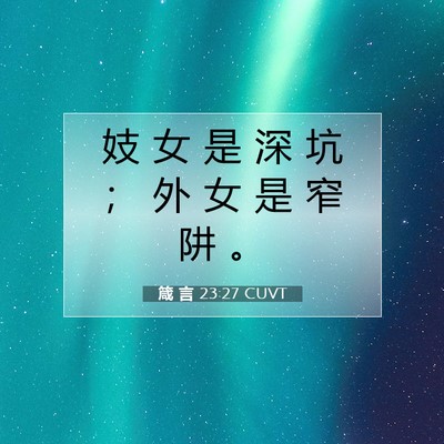 Picture 07 - 箴 言 23:27 CUVT - 妓 女 是 深 坑 ； 外 女 是 窄 阱 - Bible Verse Picture