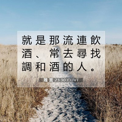 Picture 07 - 箴 言 23:30 CUVT - 就 是 那 流 連 飲 酒 、 常 去 尋 找 - Bible Verse Picture