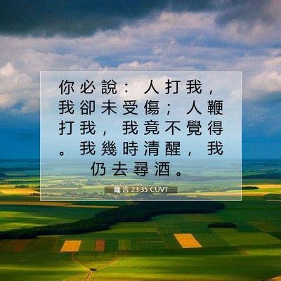 Picture 07 - 箴 言 23:35 CUVT - 你 必 說 ： 人 打 我 ， 我 卻 未 受 - Bible Verse Picture