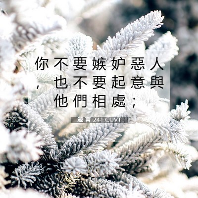 Picture 07 - 箴 言 24:1 CUVT - 你 不 要 嫉 妒 惡 人 ， 也 不 要 起 - Bible Verse Picture