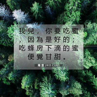 Picture 07 - 箴 言 24:13 CUVT - 我 兒 ， 你 要 吃 蜜 ， 因 為 是 好 - Bible Verse Picture