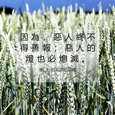 Picture 07 - 箴 言 24:20 CUVT - 因 為 ， 惡 人 終 不 得 善 報 ； 惡 - Bible Verse Picture