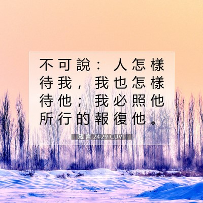 Picture 07 - 箴 言 24:29 CUVT - 不 可 說 ： 人 怎 樣 待 我 ， 我 也 - Bible Verse Picture