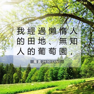 Picture 07 - 箴 言 24:30 CUVT - 我 經 過 懶 惰 人 的 田 地 、 無 知 - Bible Verse Picture