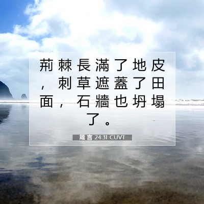 Picture 07 - 箴 言 24:31 CUVT - 荊 棘 長 滿 了 地 皮 ， 刺 草 遮 蓋 - Bible Verse Picture