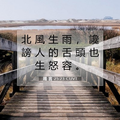 Picture 07 - 箴 言 25:23 CUVT - 北 風 生 雨 ， 讒 謗 人 的 舌 頭 也 - Bible Verse Picture