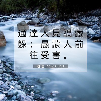 Picture 07 - 箴 言 27:12 CUVT - 通 達 人 見 禍 藏 躲 ； 愚 蒙 人 前 - Bible Verse Picture