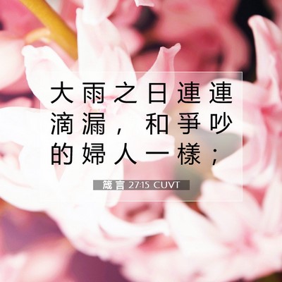 Picture 07 - 箴 言 27:15 CUVT - 大 雨 之 日 連 連 滴 漏 ， 和 爭 吵 - Bible Verse Picture