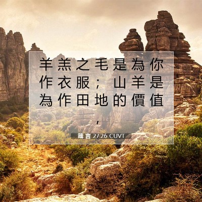 Picture 07 - 箴 言 27:26 CUVT - 羊 羔 之 毛 是 為 你 作 衣 服 ； 山 - Bible Verse Picture