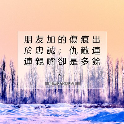 Picture 07 - 箴 言 27:6 CUVT - 朋 友 加 的 傷 痕 出 於 忠 誠 ； 仇 - Bible Verse Picture