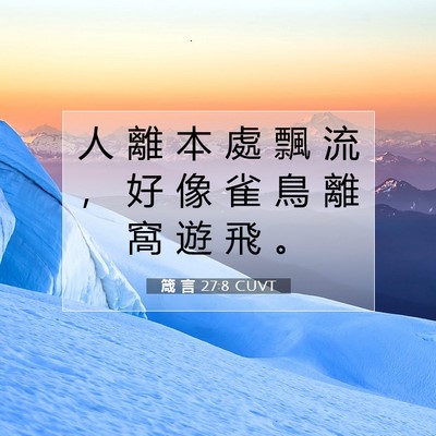 Picture 07 - 箴 言 27:8 CUVT - 人 離 本 處 飄 流 ， 好 像 雀 鳥 離 - Bible Verse Picture
