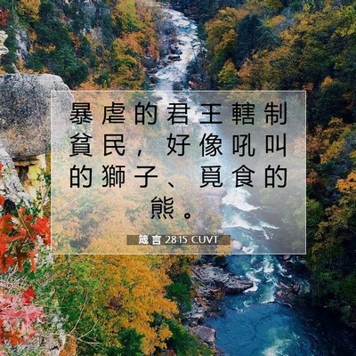 Picture 07 - 箴 言 28:15 CUVT - 暴 虐 的 君 王 轄 制 貧 民 ， 好 像 - Bible Verse Picture