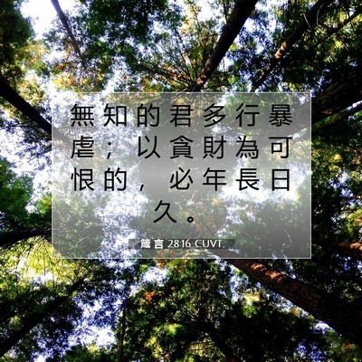Picture 07 - 箴 言 28:16 CUVT - 無 知 的 君 多 行 暴 虐 ； 以 貪 財 - Bible Verse Picture
