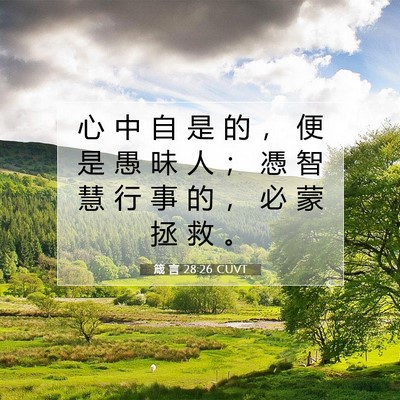 Picture 07 - 箴 言 28:26 CUVT - 心 中 自 是 的 ， 便 是 愚 昧 人 ； - Bible Verse Picture