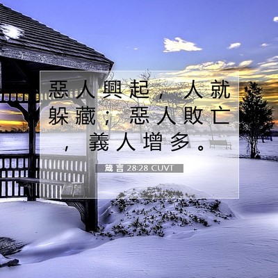 Picture 07 - 箴 言 28:28 CUVT - 惡 人 興 起 ， 人 就 躲 藏 ； 惡 人 - Bible Verse Picture
