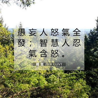 Picture 07 - 箴 言 29:11 CUVT - 愚 妄 人 怒 氣 全 發 ； 智 慧 人 忍 - Bible Verse Picture