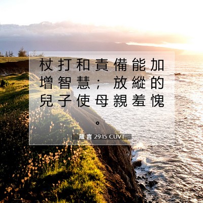 Picture 07 - 箴 言 29:15 CUVT - 杖 打 和 責 備 能 加 增 智 慧 ； 放 - Bible Verse Picture