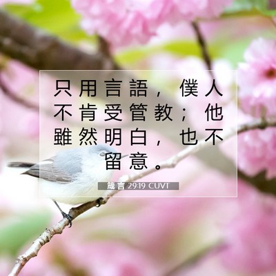 Picture 07 - 箴 言 29:19 CUVT - 只 用 言 語 ， 僕 人 不 肯 受 管 教 - Bible Verse Picture
