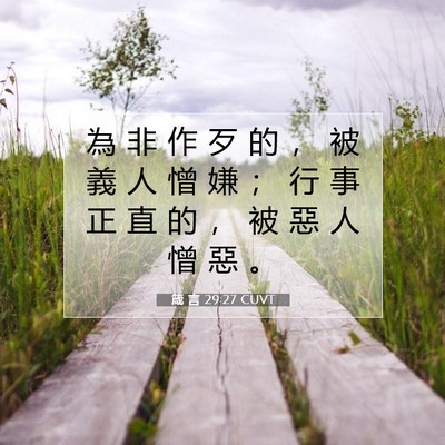 Picture 07 - 箴 言 29:27 CUVT - 為 非 作 歹 的 ， 被 義 人 憎 嫌 ； - Bible Verse Picture