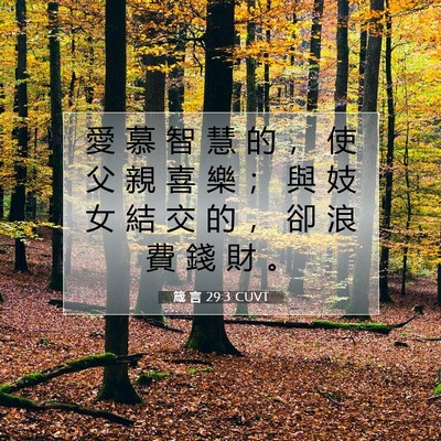 Picture 07 - 箴 言 29:3 CUVT - 愛 慕 智 慧 的 ， 使 父 親 喜 樂 ； - Bible Verse Picture