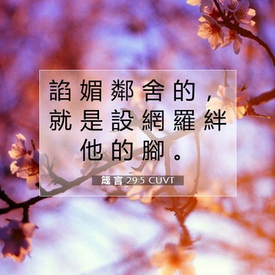 Picture 07 - 箴 言 29:5 CUVT - 諂 媚 鄰 舍 的 ， 就 是 設 網 羅 絆 - Bible Verse Picture