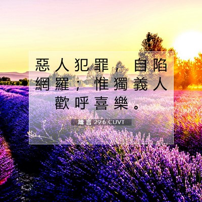 Picture 07 - 箴 言 29:6 CUVT - 惡 人 犯 罪 ， 自 陷 網 羅 ； 惟 獨 - Bible Verse Picture
