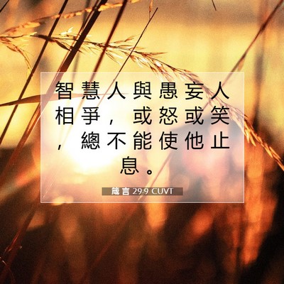 Picture 07 - 箴 言 29:9 CUVT - 智 慧 人 與 愚 妄 人 相 爭 ， 或 怒 - Bible Verse Picture