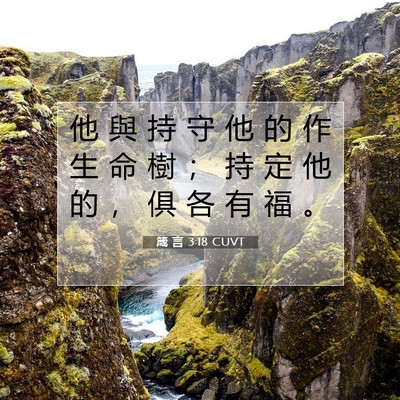Picture 07 - 箴 言 3:18 CUVT - 他 與 持 守 他 的 作 生 命 樹 ； 持 - Bible Verse Picture
