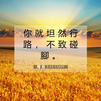 Picture 07 - 箴 言 3:23 CUVT - 你 就 坦 然 行 路 ， 不 致 碰 腳 - Bible Verse Picture