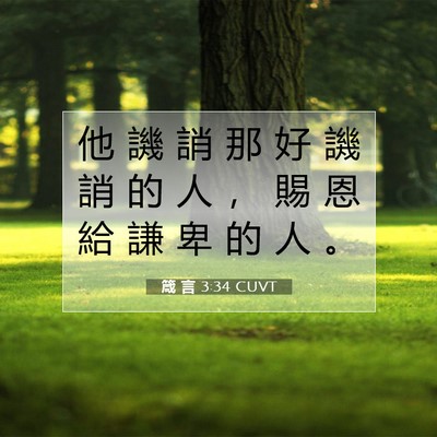 Picture 07 - 箴 言 3:34 CUVT - 他 譏 誚 那 好 譏 誚 的 人 ， 賜 恩 - Bible Verse Picture