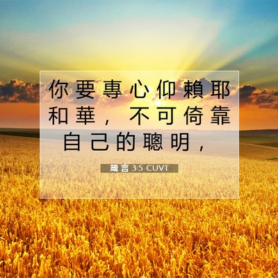 Picture 07 - 箴 言 3:5 CUVT - 你 要 專 心 仰 賴 耶 和 華 ， 不 可 - Bible Verse Picture