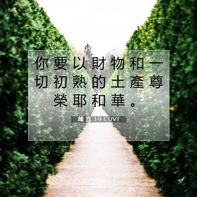 Picture 07 - 箴 言 3:9 CUVT - 你 要 以 財 物 和 一 切 初 熟 的 土 - Bible Verse Picture