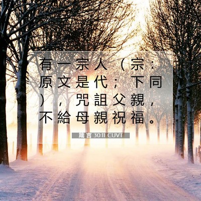 Picture 07 - 箴 言 30:11 CUVT - 有 一 宗 人 （ 宗 ： 原 文 是 代 ； - Bible Verse Picture