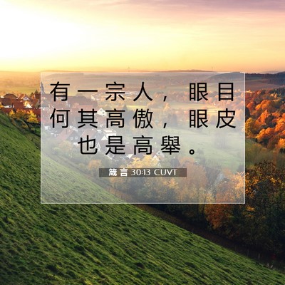 Picture 07 - 箴 言 30:13 CUVT - 有 一 宗 人 ， 眼 目 何 其 高 傲 ， - Bible Verse Picture