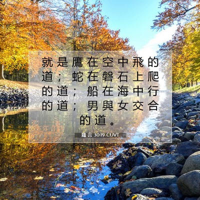 Picture 07 - 箴 言 30:19 CUVT - 就 是 鷹 在 空 中 飛 的 道 ； 蛇 在 - Bible Verse Picture