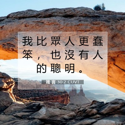 Picture 07 - 箴 言 30:2 CUVT - 我 比 眾 人 更 蠢 笨 ， 也 沒 有 人 - Bible Verse Picture