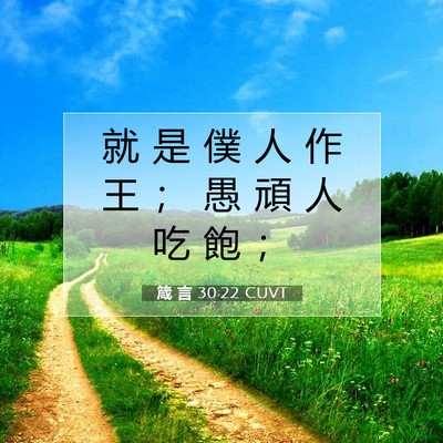 Picture 07 - 箴 言 30:22 CUVT - 就 是 僕 人 作 王 ； 愚 頑 人 吃 飽 - Bible Verse Picture