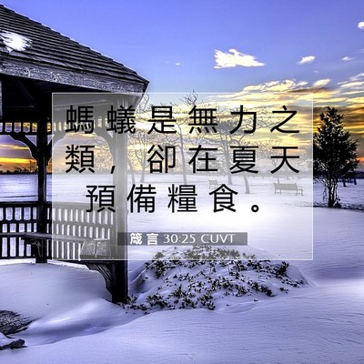 Picture 07 - 箴 言 30:25 CUVT - 螞 蟻 是 無 力 之 類 ， 卻 在 夏 天 - Bible Verse Picture
