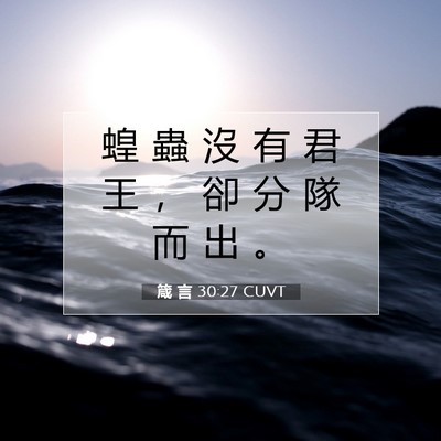 Picture 07 - 箴 言 30:27 CUVT - 蝗 蟲 沒 有 君 王 ， 卻 分 隊 而 出 - Bible Verse Picture