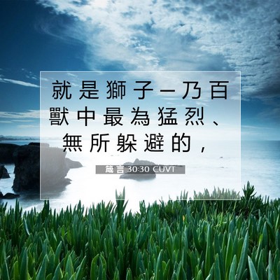 Picture 07 - 箴 言 30:30 CUVT - 就 是 獅 子 ─ 乃 百 獸 中 最 為 猛 - Bible Verse Picture