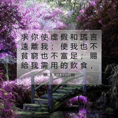 Picture 07 - 箴 言 30:8 CUVT - 求 你 使 虛 假 和 謊 言 遠 離 我 ； - Bible Verse Picture