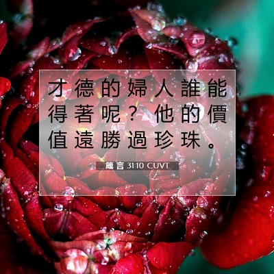 Picture 07 - 箴 言 31:10 CUVT - 才 德 的 婦 人 誰 能 得 著 呢 ？ 他 - Bible Verse Picture