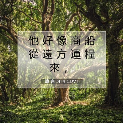 Picture 07 - 箴 言 31:14 CUVT - 他 好 像 商 船 從 遠 方 運 糧 來 - Bible Verse Picture