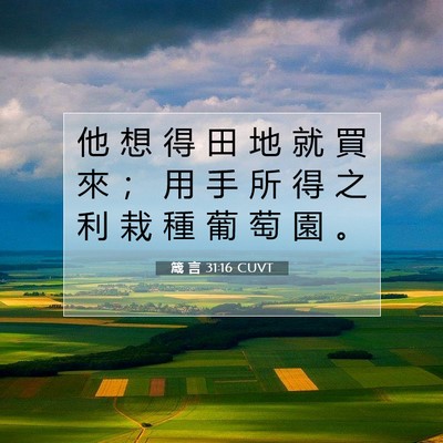 Picture 07 - 箴 言 31:16 CUVT - 他 想 得 田 地 就 買 來 ； 用 手 所 - Bible Verse Picture