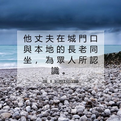 Picture 07 - 箴 言 31:23 CUVT - 他 丈 夫 在 城 門 口 與 本 地 的 長 - Bible Verse Picture