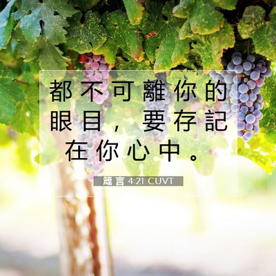 Picture 07 - 箴 言 4:21 CUVT - 都 不 可 離 你 的 眼 目 ， 要 存 記 - Bible Verse Picture