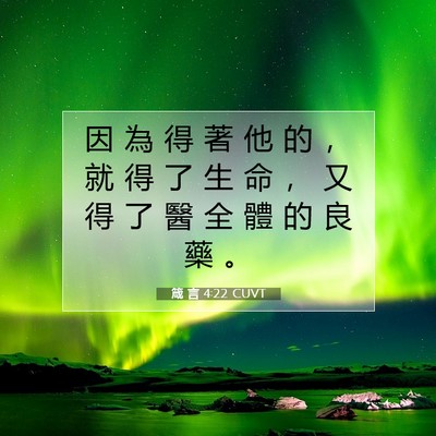 Picture 07 - 箴 言 4:22 CUVT - 因 為 得 著 他 的 ， 就 得 了 生 命 - Bible Verse Picture