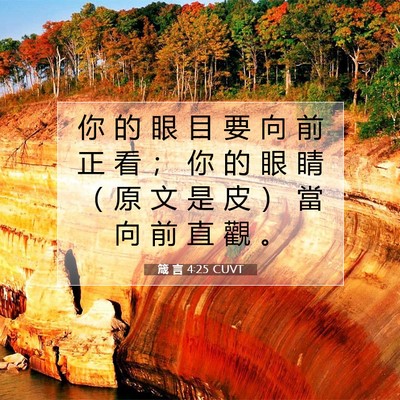 Picture 07 - 箴 言 4:25 CUVT - 你 的 眼 目 要 向 前 正 看 ； 你 的 - Bible Verse Picture
