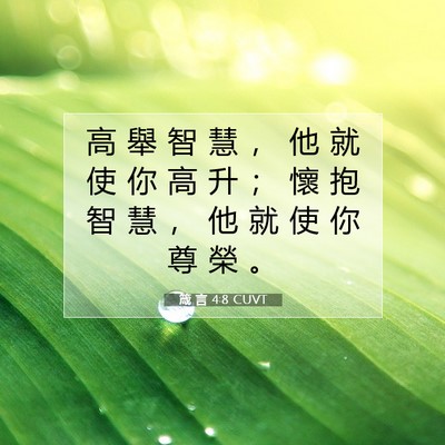 Picture 07 - 箴 言 4:8 CUVT - 高 舉 智 慧 ， 他 就 使 你 高 升 ； - Bible Verse Picture