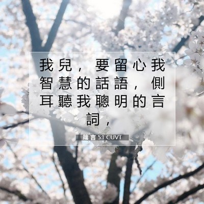 Picture 07 - 箴 言 5:1 CUVT - 我 兒 ， 要 留 心 我 智 慧 的 話 語 - Bible Verse Picture